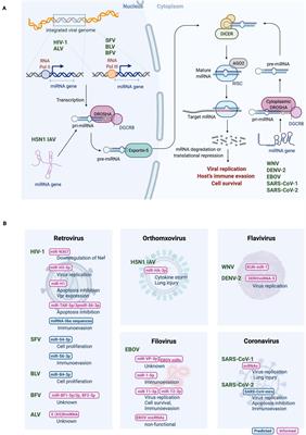 RNA Virus-Encoded miRNAs: Current Insights and Future Challenges